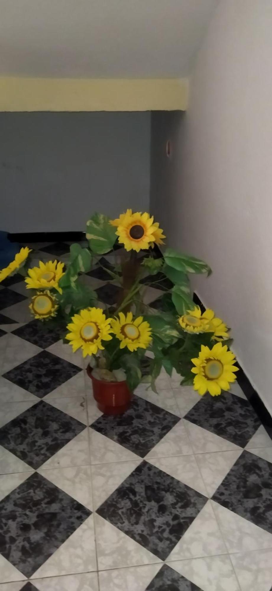 Apartamento New Pogradec